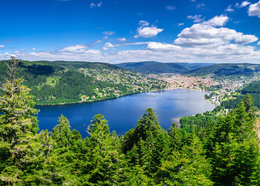 hotel Gérardmer gerardmer piscine vue lac ascenseur atypique insolite sauna jacuzzi petit déjeuner animaux sauvages pet friendly