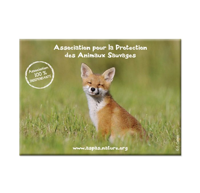 partenaire animaux sauvages protection hotel Gérardmer gerardmer piscine vue lac ascenseur atypique insolite sauna jacuzzi petit déjeuner animaux sauvages
