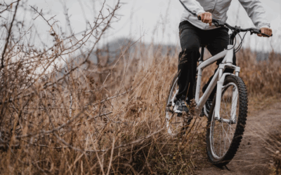Les Vosges by bike: a hotel with the “ACCUEIL VELO” label